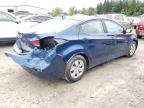 HYUNDAI ELANTRA SE photo