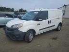 RAM PROMASTER photo