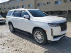 CADILLAC ESCALADE P photo