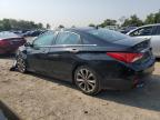 HYUNDAI SONATA SE photo