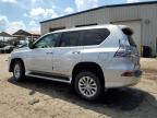 LEXUS GX 460 photo