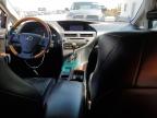 LEXUS RX 350 photo