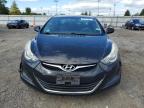 HYUNDAI ELANTRA SE photo