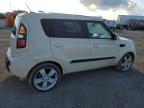 KIA SOUL + photo