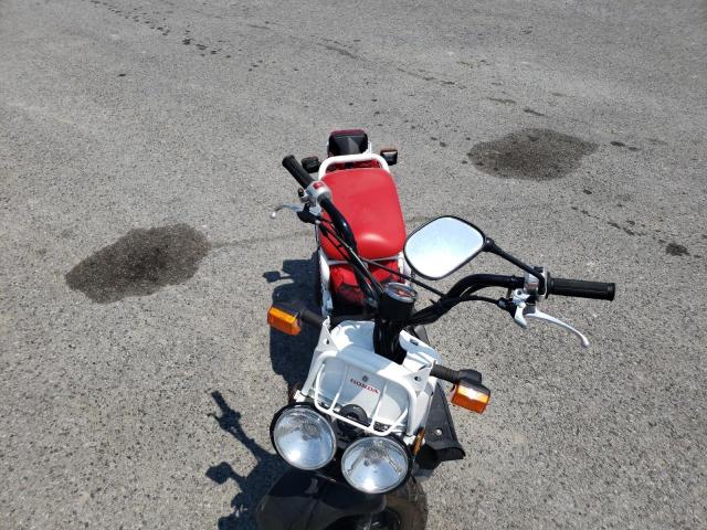 2019 HONDA NPS50 JH2AF5814KK701314