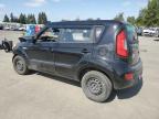 KIA SOUL photo