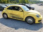 VOLKSWAGEN BEETLE photo