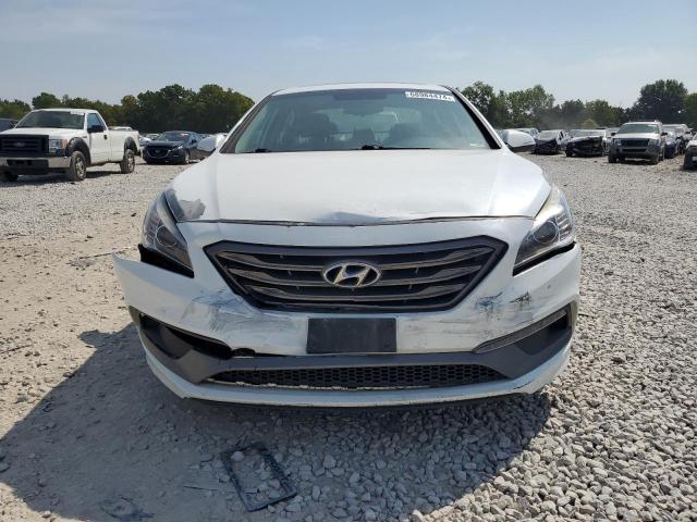2017 HYUNDAI SONATA SPO - 5NPE34AF9HH592780