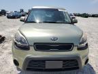 KIA SOUL + photo