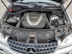 MERCEDES-BENZ ML 350 photo