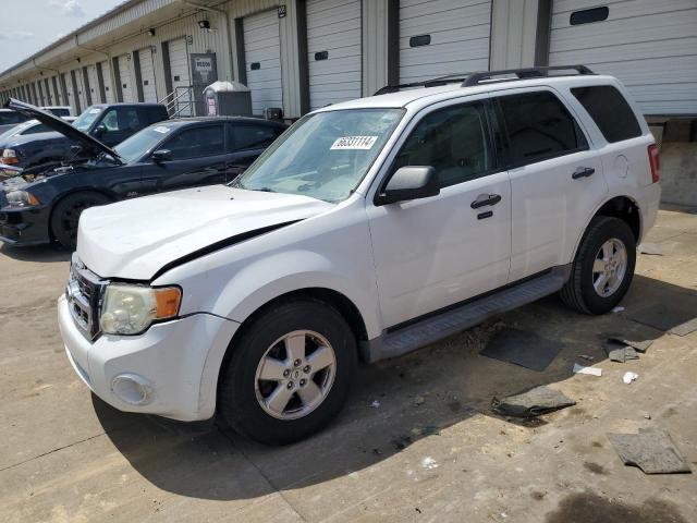 2010 FORD ESCAPE XLT #2789650213