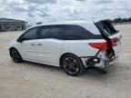 HONDA ODYSSEY EL photo