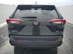 TOYOTA RAV4 XLE photo