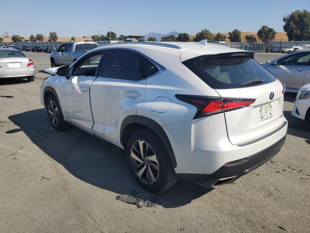 2020 LEXUS NX 300 JTJGARBZ6L5000424