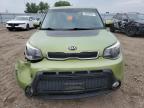 KIA SOUL + photo