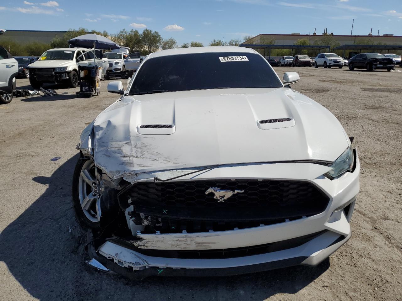 Lot #2993718157 2019 FORD MUSTANG