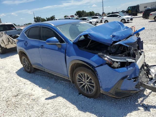 2022 LEXUS NX 250 - JTJADCEZ1N5000369