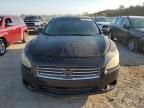 NISSAN MAXIMA S photo