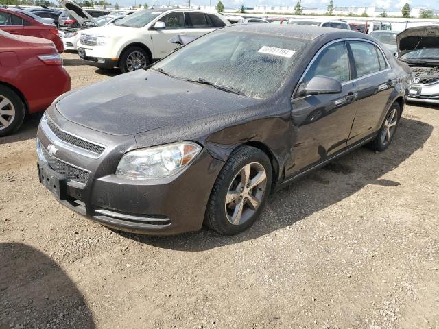 2011 CHEVROLET MALIBU 1LT 2011