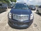 CADILLAC SRX LUXURY photo