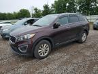 KIA SORENTO LX photo