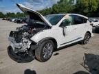 2023 ACURA RDX TECHNO - 5J8TC2H56PL016987