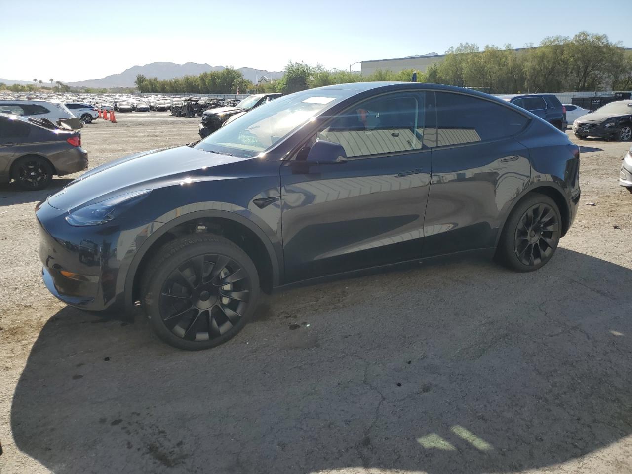 Tesla Model Y 2024 