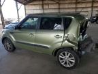 KIA SOUL + photo