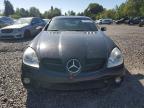 MERCEDES-BENZ SLK 55 AMG photo