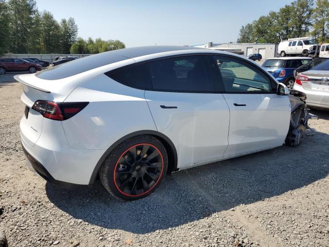 2024 TESLA MODEL Y - 7SAYGDEE0RF044656
