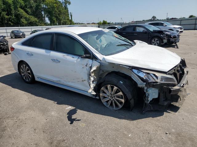 2015 HYUNDAI SONATA SPO - 5NPE34AF1FH213493