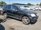 MERCEDES-BENZ ML 350 photo