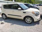 KIA SOUL + photo