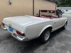 MERCEDES-BENZ 230 SL photo