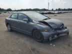 HONDA CIVIC LX photo