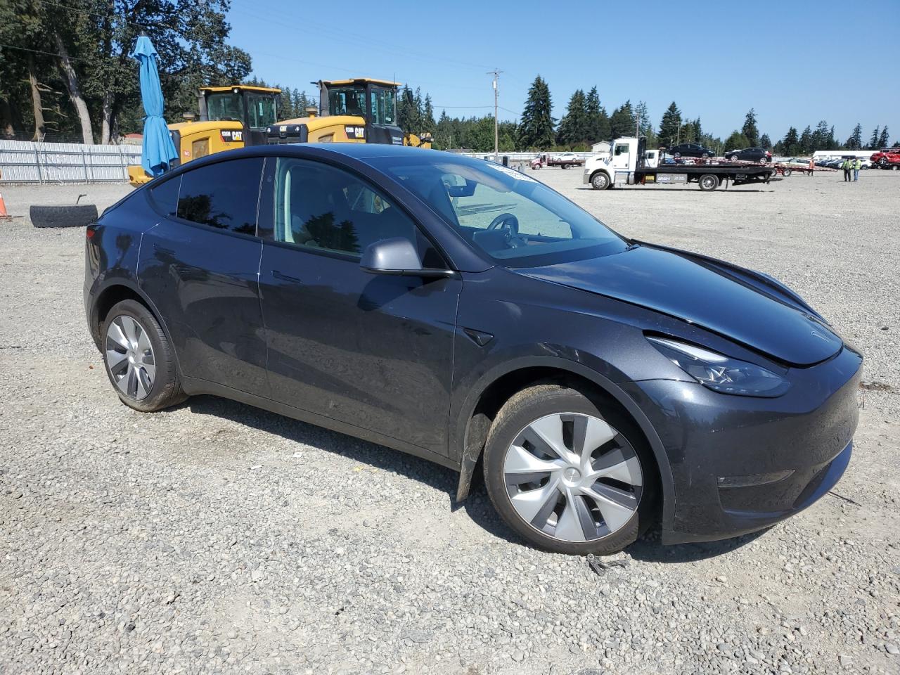 Lot #2986948932 2024 TESLA MODEL Y