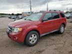 FORD ESCAPE XLT photo