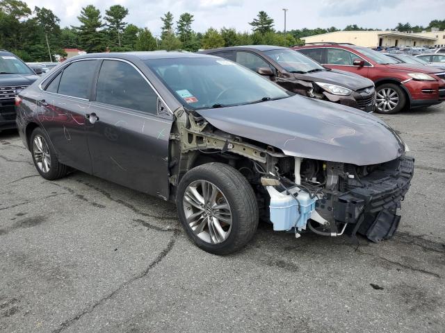 2016 TOYOTA CAMRY LE - 4T1BF1FK8GU141919