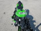 Lot #3024303019 2024 KAWASAKI ZX636 K