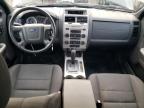 FORD ESCAPE XLT photo