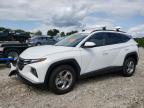2024 HYUNDAI TUCSON SEL - 5NMJBCDE2RH392143