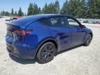 TESLA MODEL Y photo