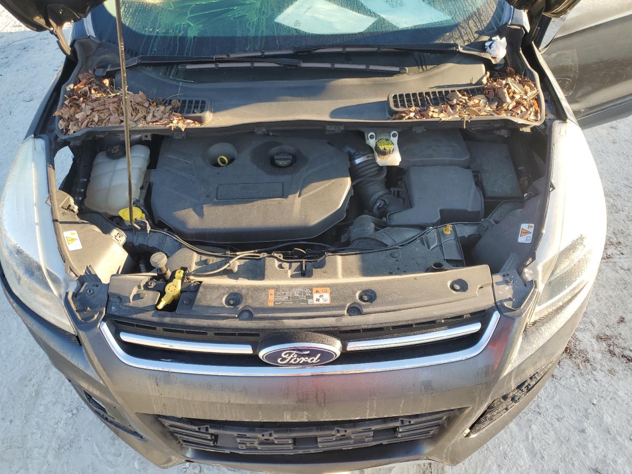 Lot #3023446264 2015 FORD ESCAPE TIT