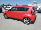 KIA SOUL + photo