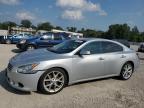 NISSAN MAXIMA S photo