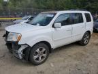 HONDA PILOT EXLN photo