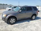 FORD ESCAPE XLS photo