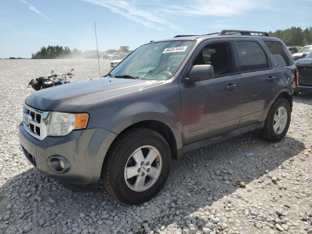 Vin: 1fmcu9d72akc85329, lot: 66357444, ford escape xlt 2010 img_1