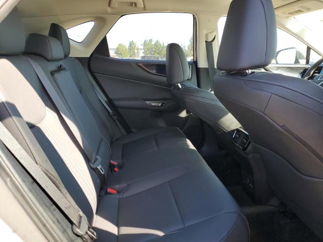 2023 LEXUS NX 250 2T2ADCEZ2PC003530