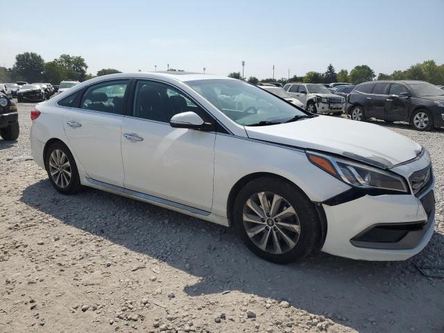 2017 HYUNDAI SONATA SPO - 5NPE34AF9HH592780